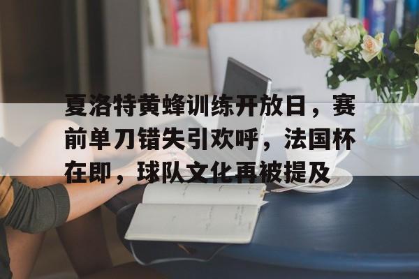 关于夏洛特黄蜂训练开放日，赛前单刀错失引欢呼，法国杯在即，球队文化再被提及的信息